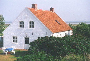 Strandgut Insel Baltrum